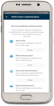 1 Cell MFA 2 1 Cell MFA 2