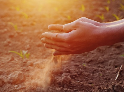 DroughtWeb DroughtWeb