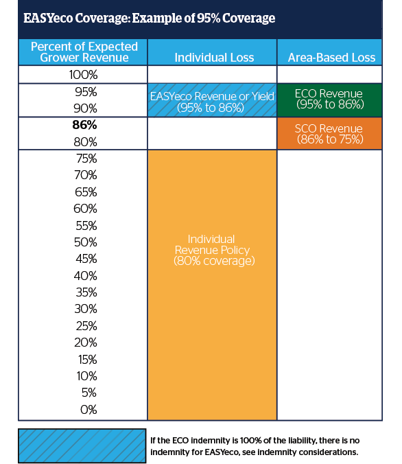 EASYecoChart_2024