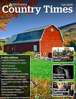 FallCountryTimes