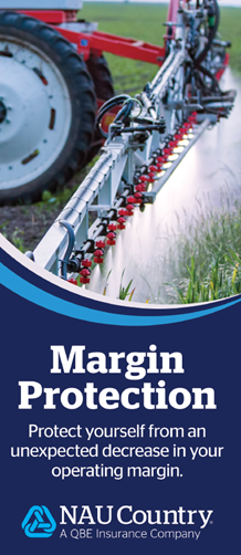 mp cover pic mp cover pic