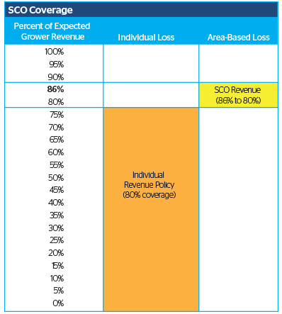 Supplemental Coverage Option Supplemental Coverage Option (SCO)